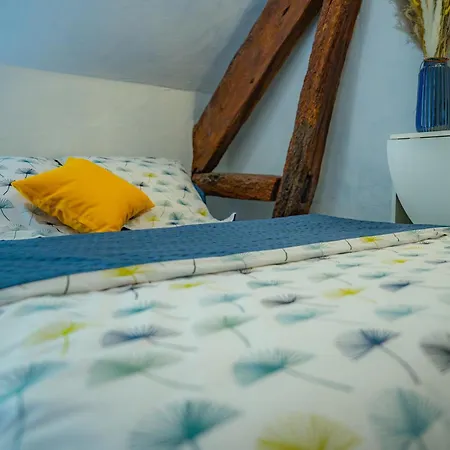 Appartamento Shared Housing